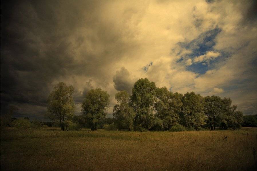 , Эдуард VTORNIK  Николаев