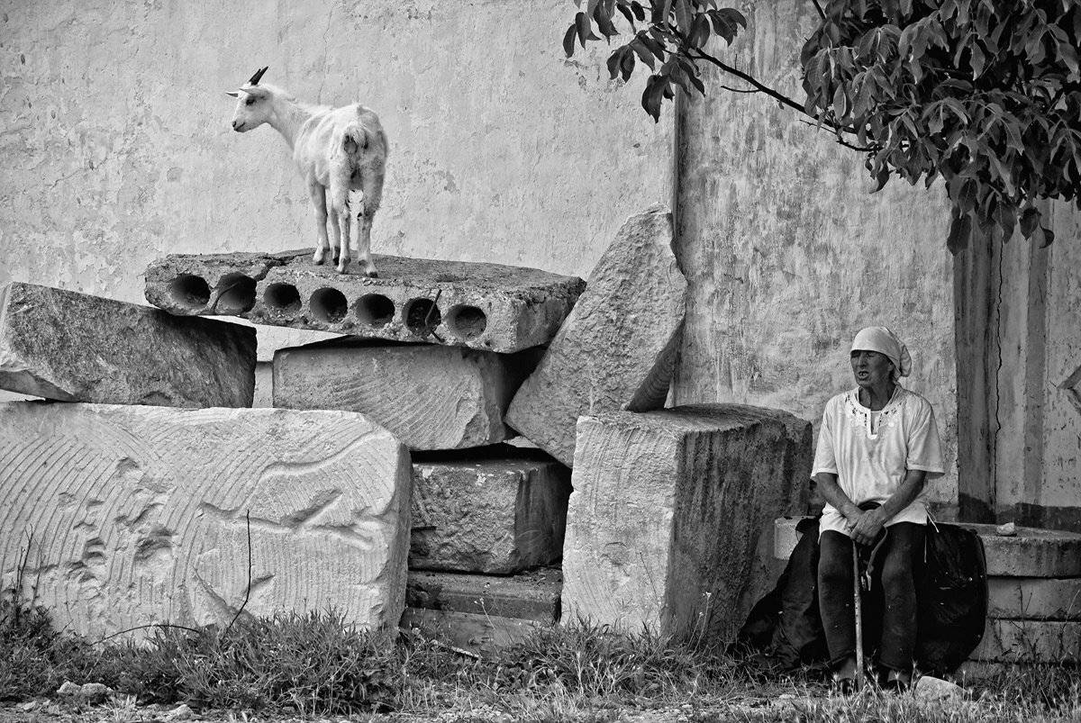 коза, бабушка, ч/б фото, жанр,, Надежда