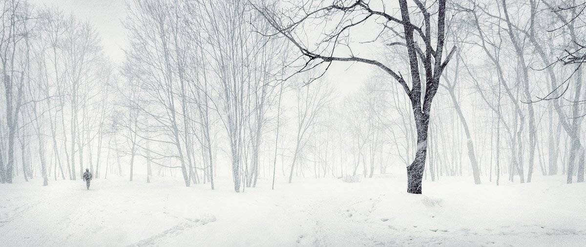 , Bratukhin Alexander A___L___E___X