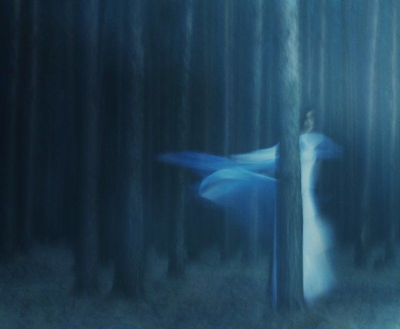 Эльфийский лес фото превью