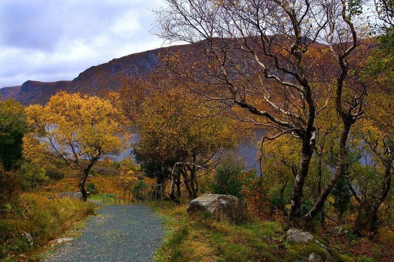 ирландия, осень, *** фото превью