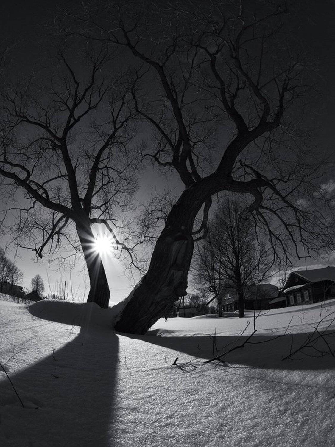 , Максим Евдокимов