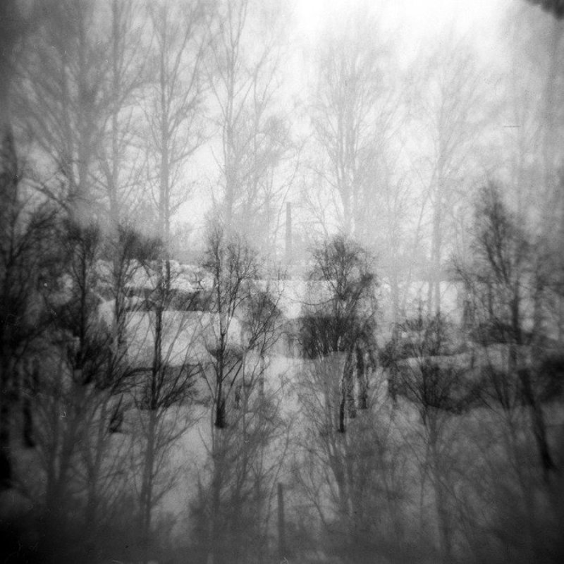 В окно фото превью