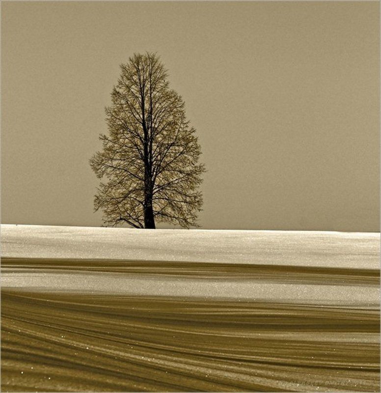 Одиночество.... фото превью