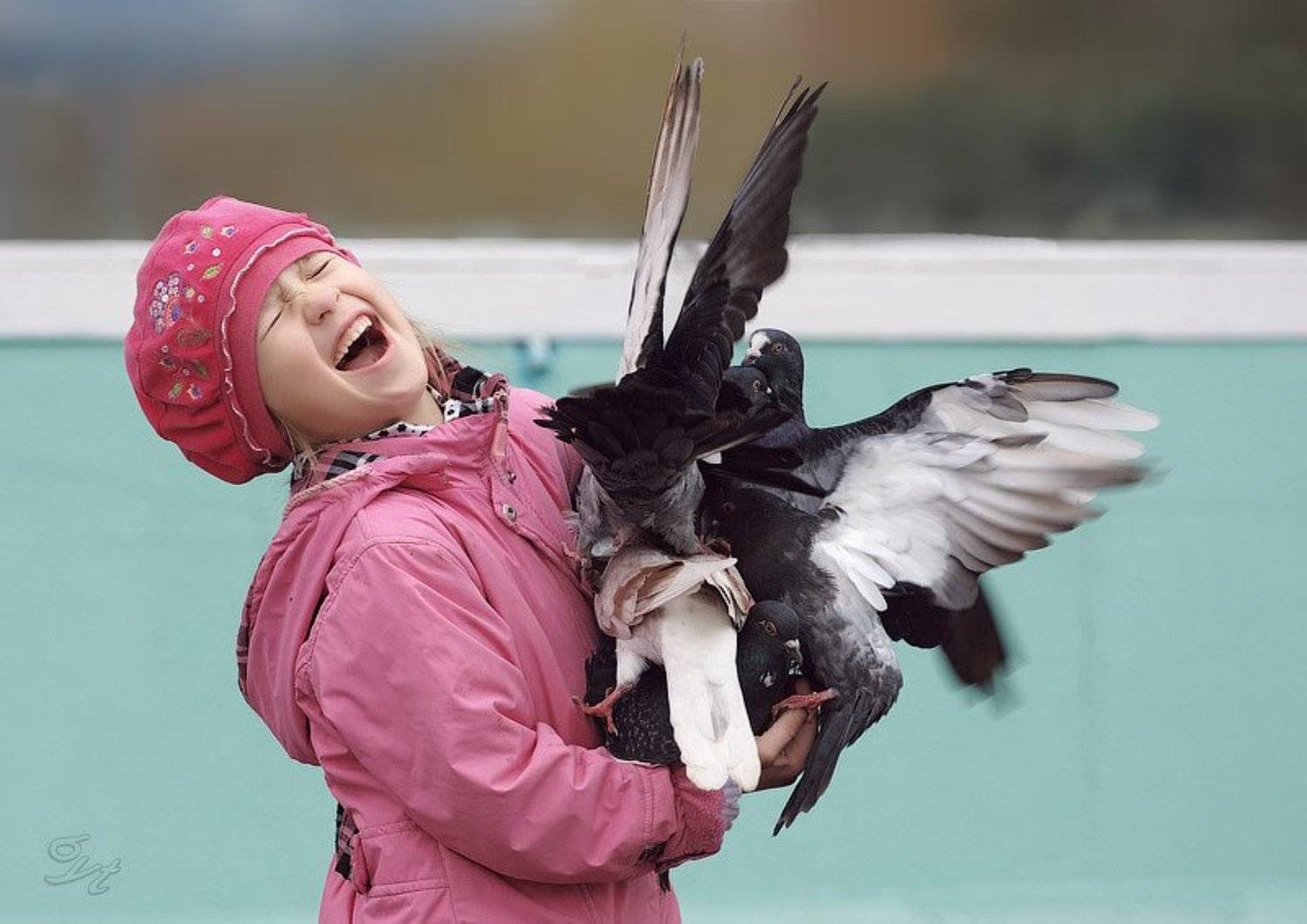 девочка, голуби, Виктор Бут