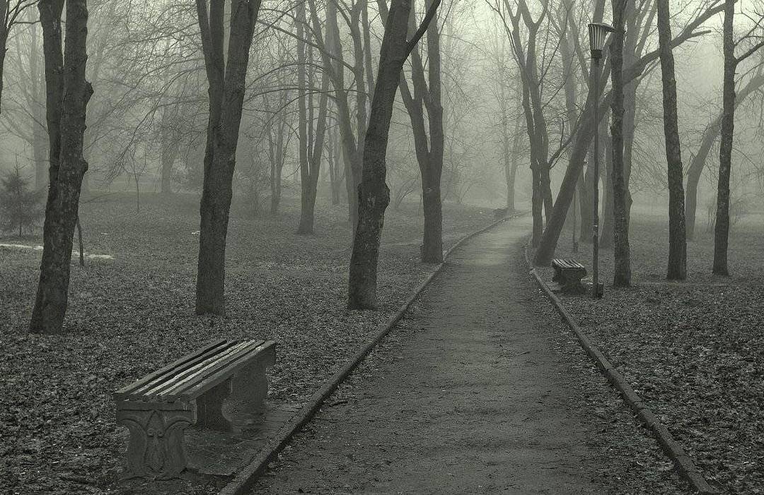 , Николай Шахманцир