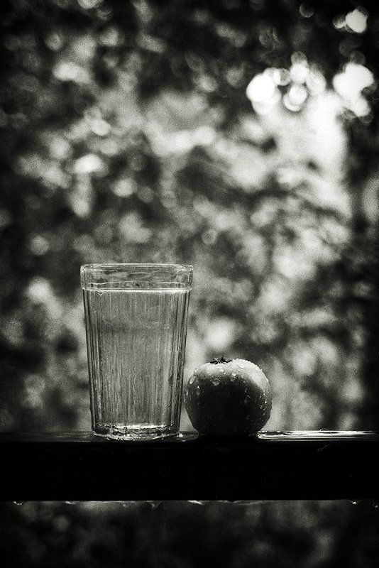 дождь... фото превью