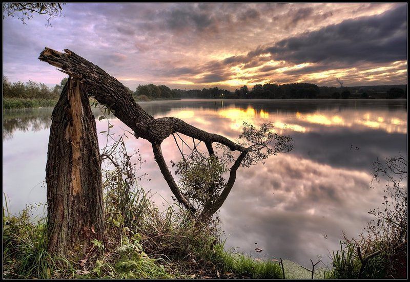 рассвет вспоминая прошедшую осень фото превью