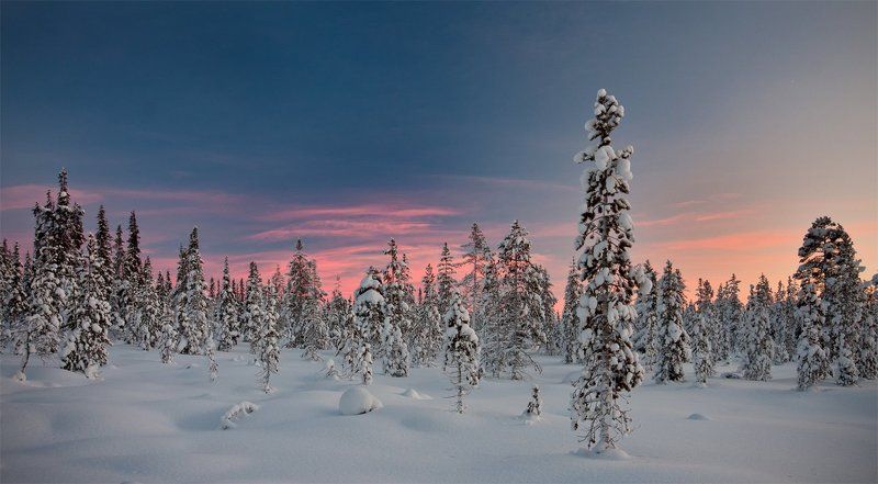 кольский, полуостров, зима ***** фото превью