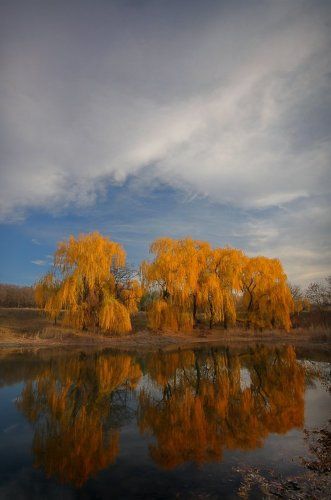 И вновь в душе осенние мотивы