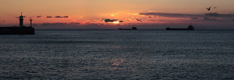 К югу от границы, на запад от солнца фото превью