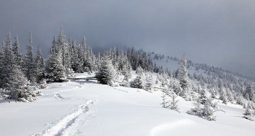 8 марта в Карпатах