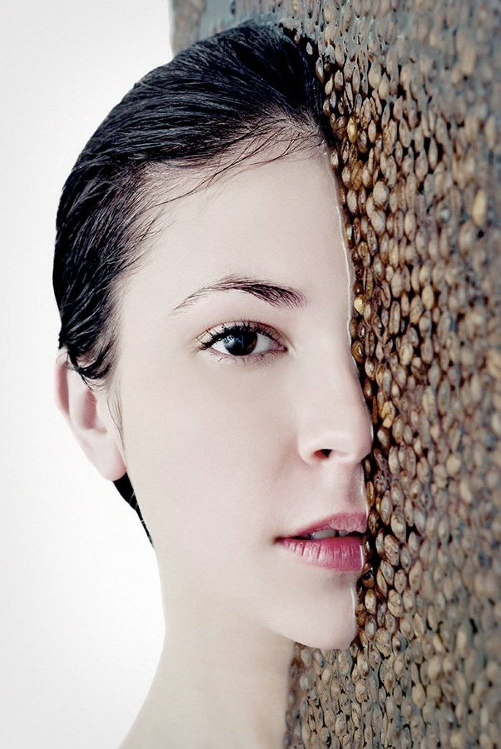 , Сергей Шамрайчук (Shamray)