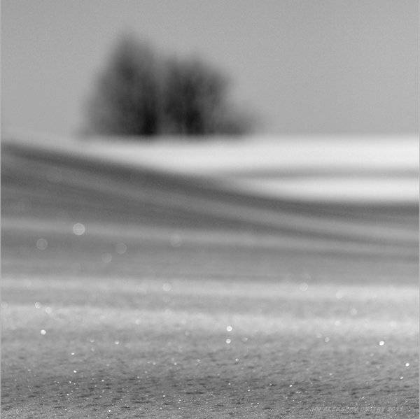 , Дмитрий Алексеев