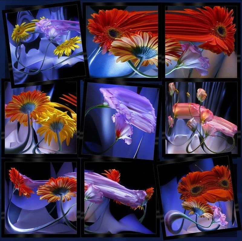 светографика, цветы, отражения, искажения, сюжет, эустома, бумага Эустомы. Витые стебли (Светографика - Отражения. Искажения) фото превью