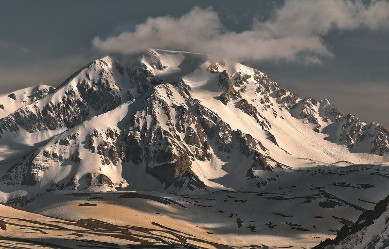 Красавец Оштен ( парит , пыхтит , живет) фото превью