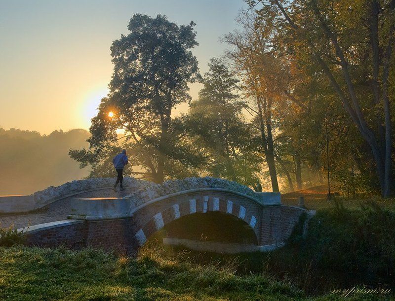 утро, кузьминки Утро в Кузьминках (2) фото превью