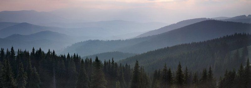 карпаты, осень, природа, пейзаж, , лес, горы, вечер *** фото превью