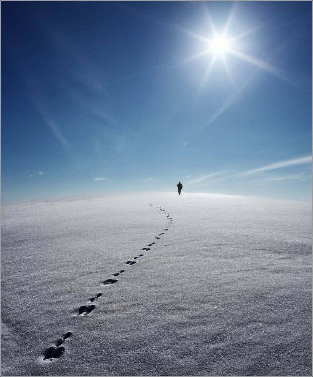 зайцы, солнце, следы, Влад Соколовский