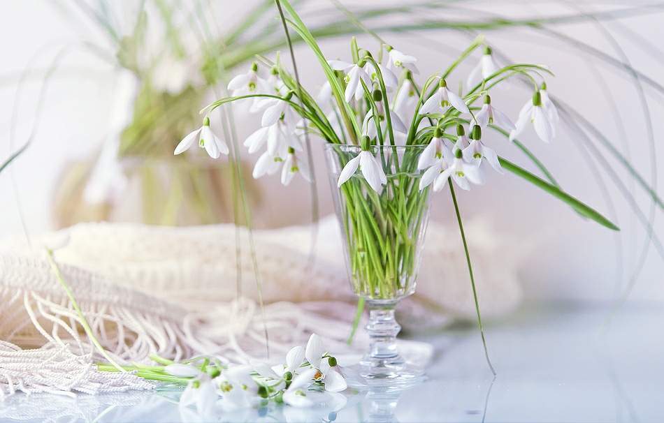 , Владимир Осауленко