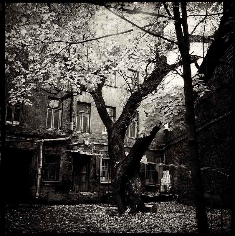 *** фото превью