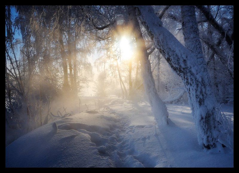 Луч солнца золотого фото превью