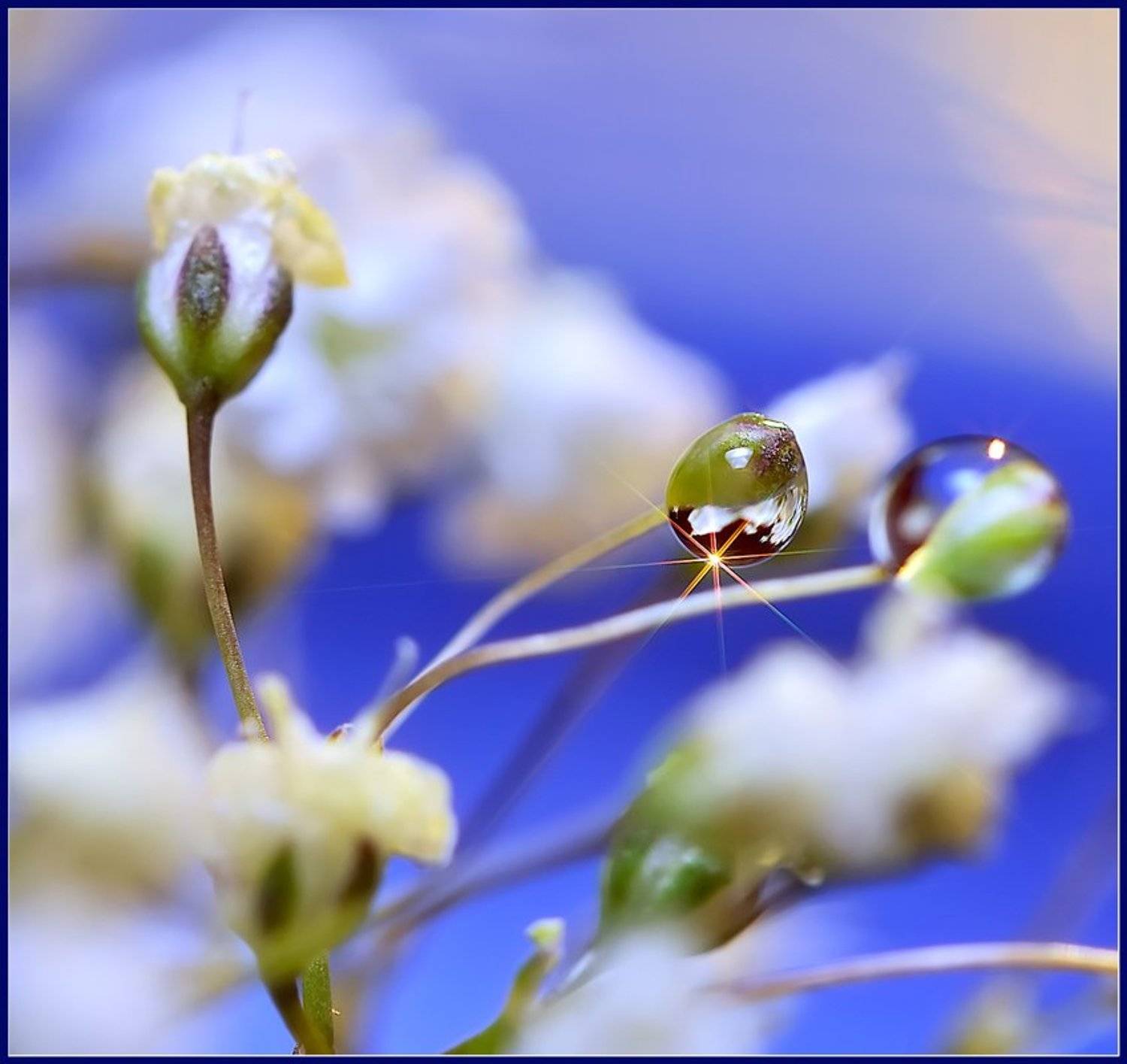, Евгений Кирилкин.