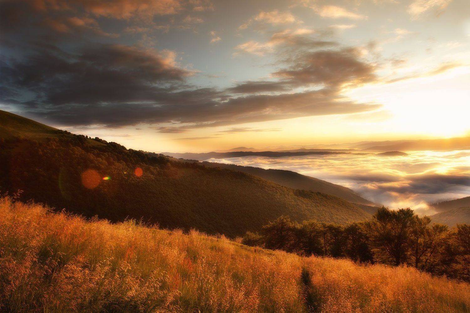 карпаты,горы,тучи,туман,небо,солнце,рассвет,свет,трава,лес, Євген Кукулка