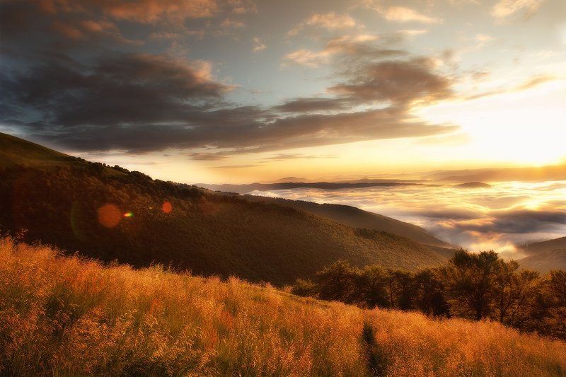 карпаты,горы,тучи,туман,небо,солнце,рассвет,свет,трава,лес А світанок вже не за горами фото превью