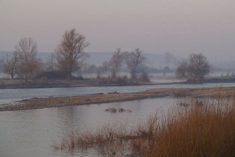 весна, утро, туман \