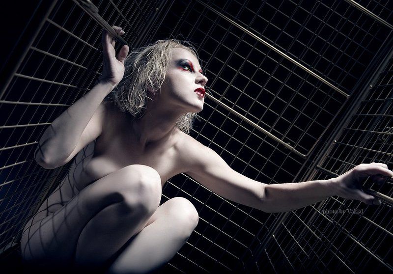 *** фото превью