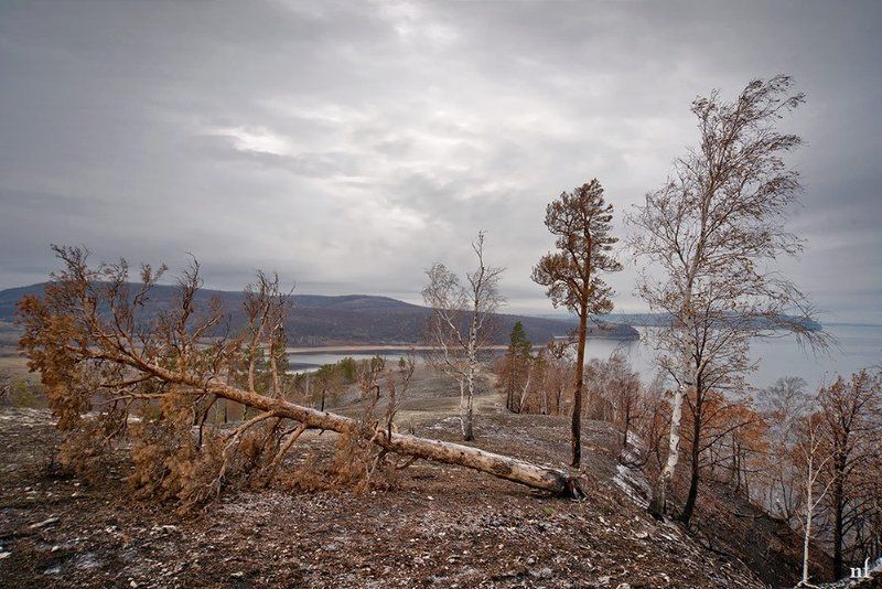 Сентябрь фото превью