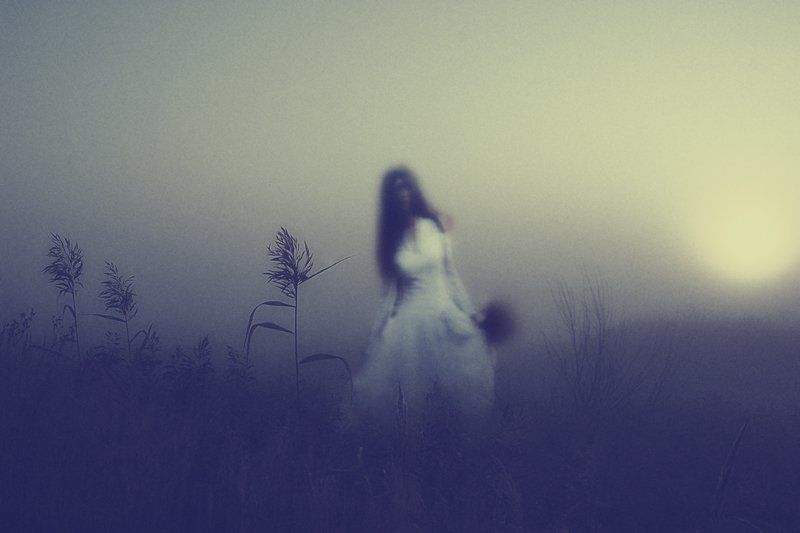 Мои одинокие лунные ночи фото превью