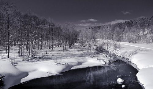 Последний взгляд на зиму