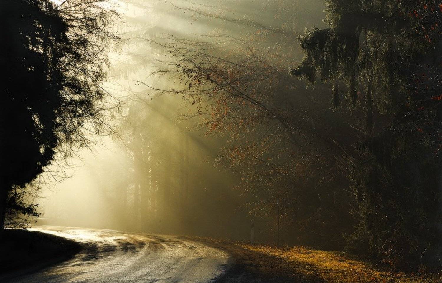 , Леонид Закревский