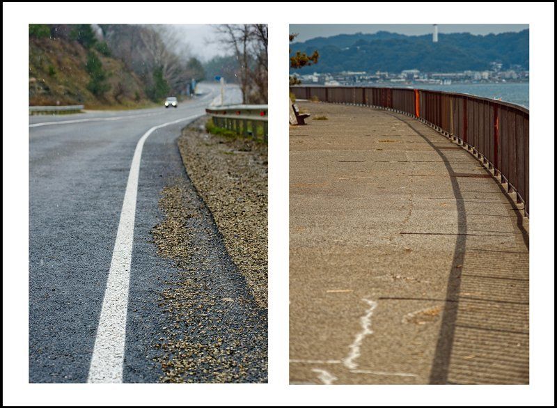 вид в конце аллеи (серия) фото превью