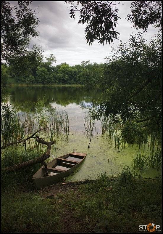 ***, Губарев Дмитрий