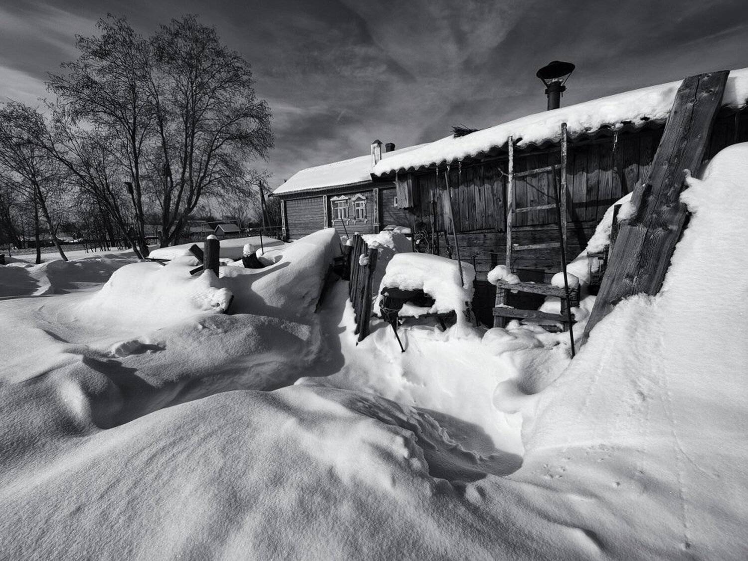 , Максим Евдокимов