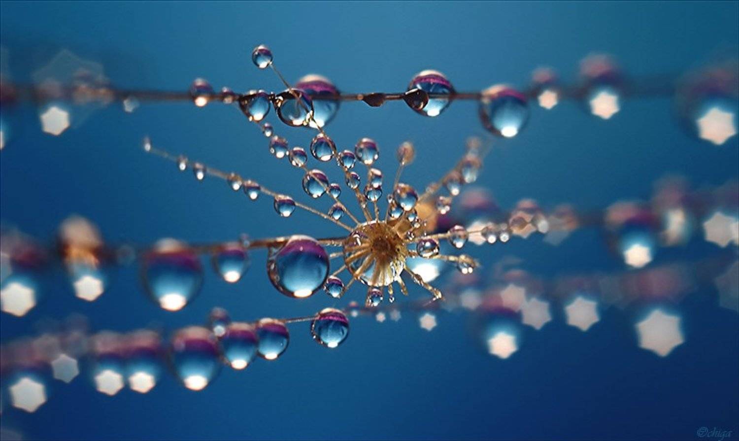 вода, капли, Chiga