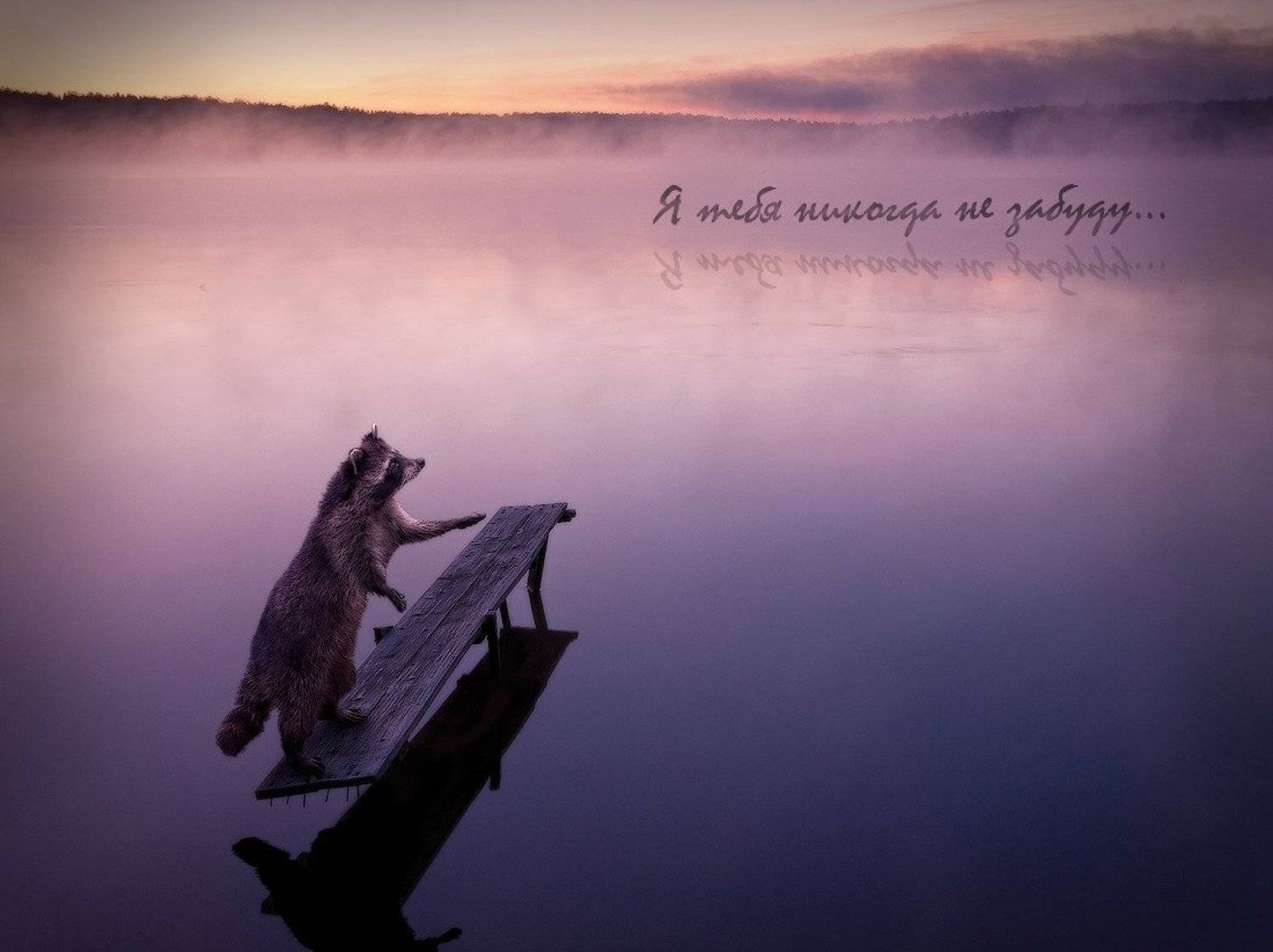 , Олег Козлов