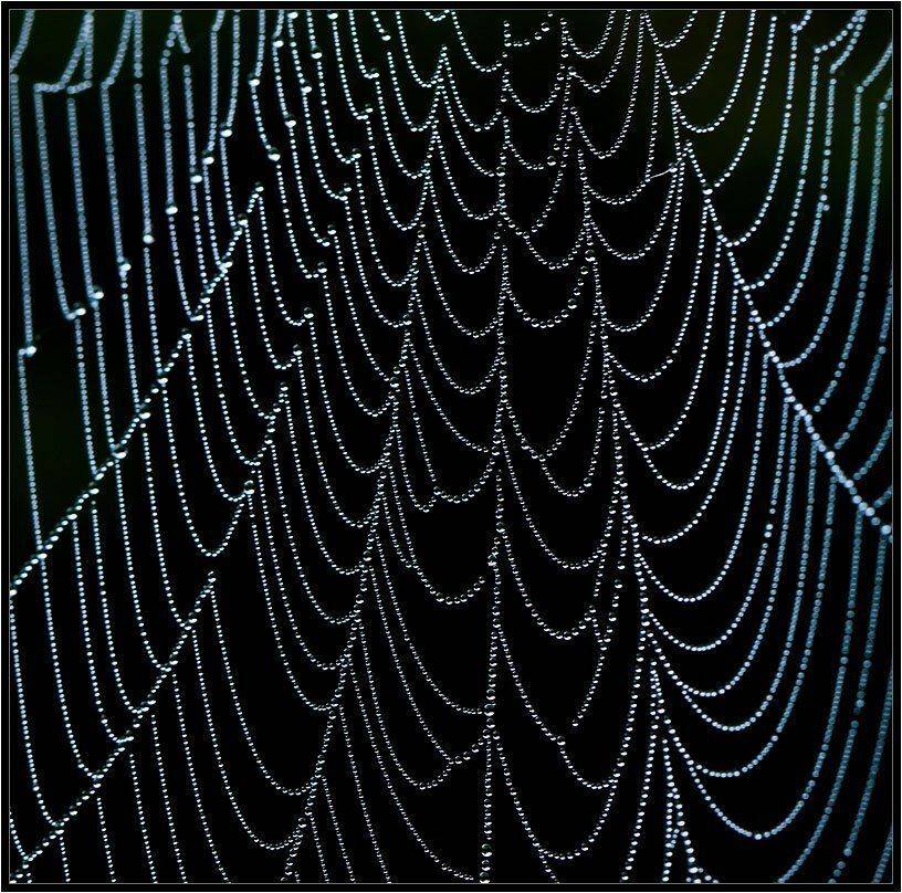 , Бурлов Андрей