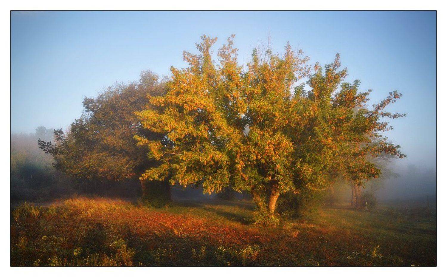 , Денис Кривой