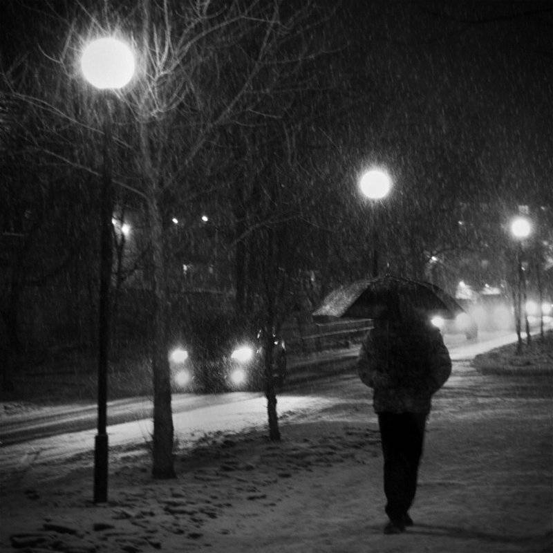 жанр, последний, день, зимы, снег, с, дождем, Зуева Юля