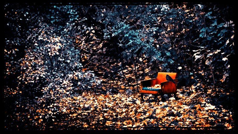 *** фото превью