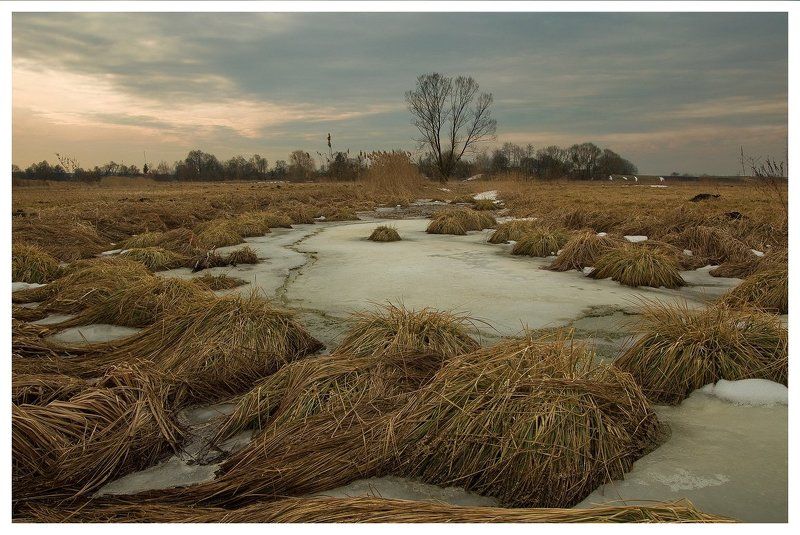 весеннее утро фото превью