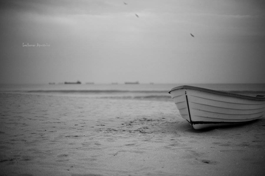 , luchezar apostolov