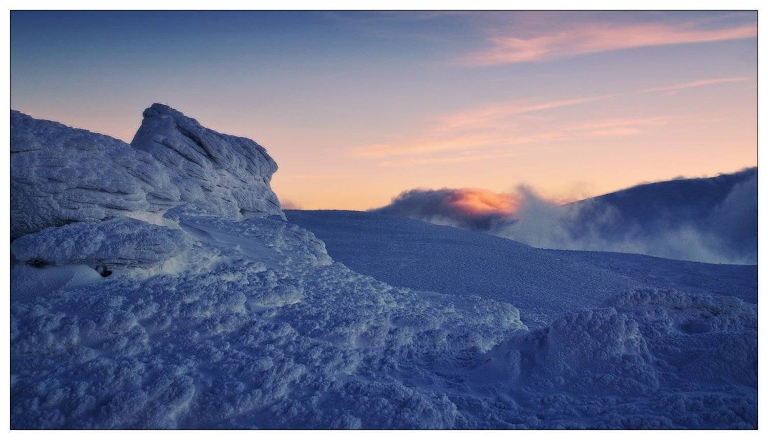 , Денис Кривой