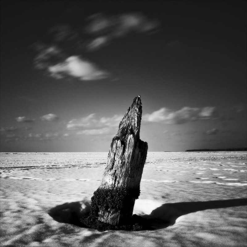 / фото превью