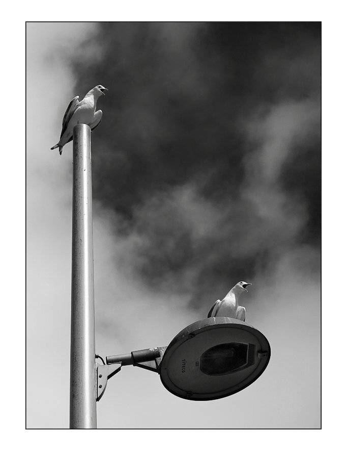 норвегия, берген, Лариса Гурьева