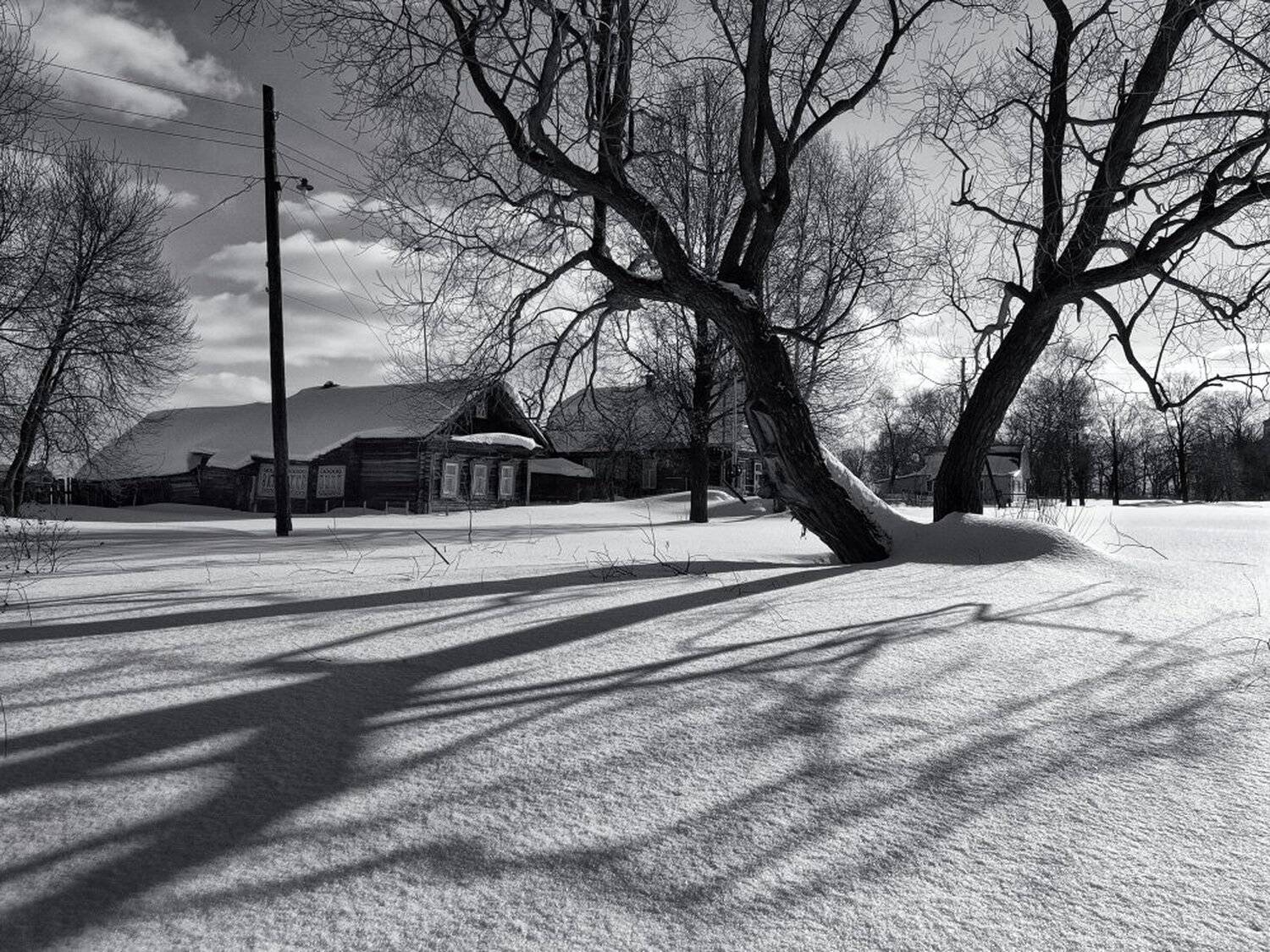 , Максим Евдокимов